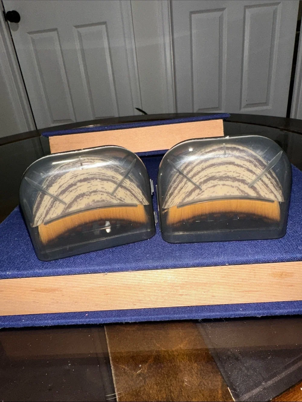 Set of Two Fan Makeup Brushes with Protective Cases - Beige Bristles